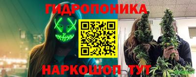 стаф Моздок